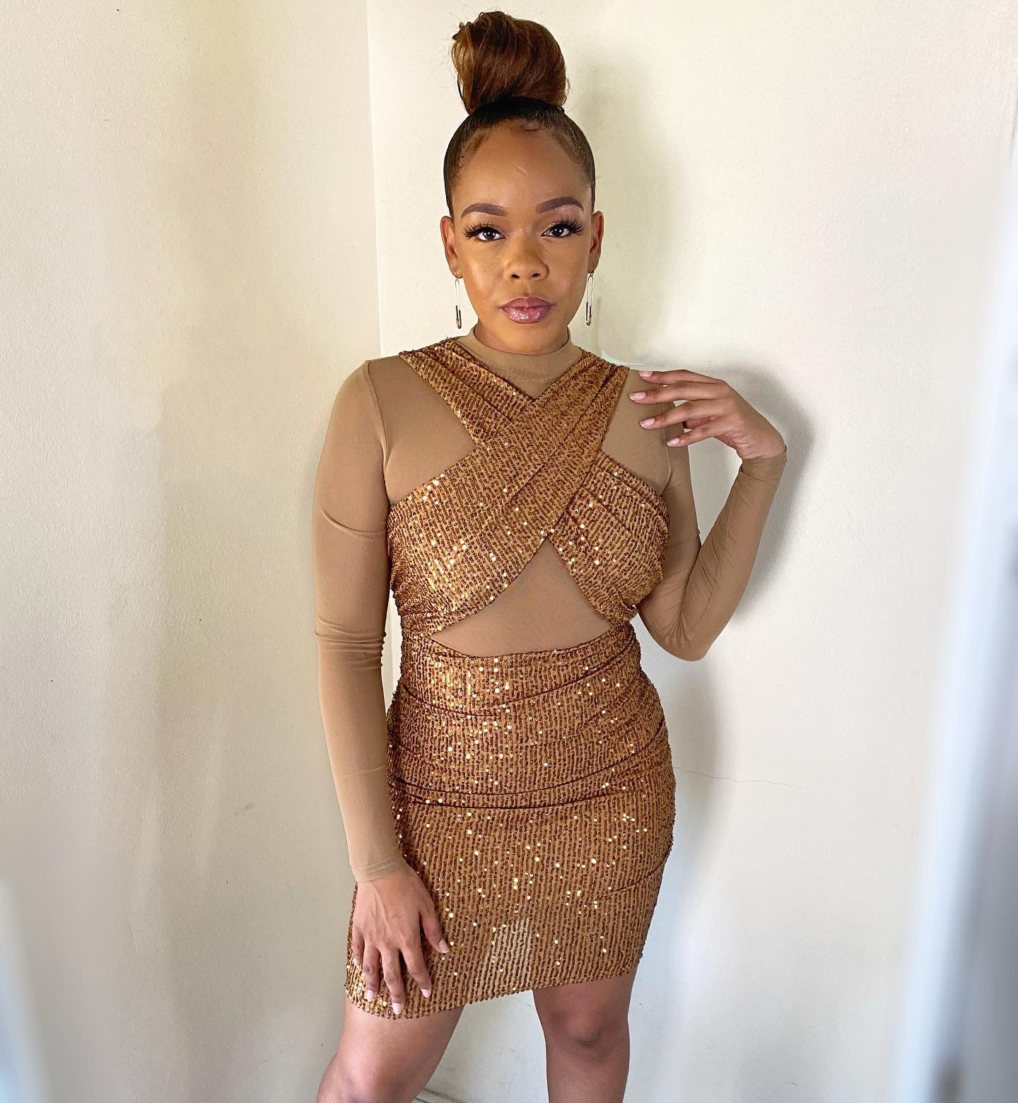 Brown Sequin -Mesh Sleeve Dress