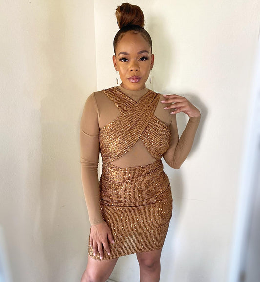 Brown Sequin -Mesh Sleeve Dress